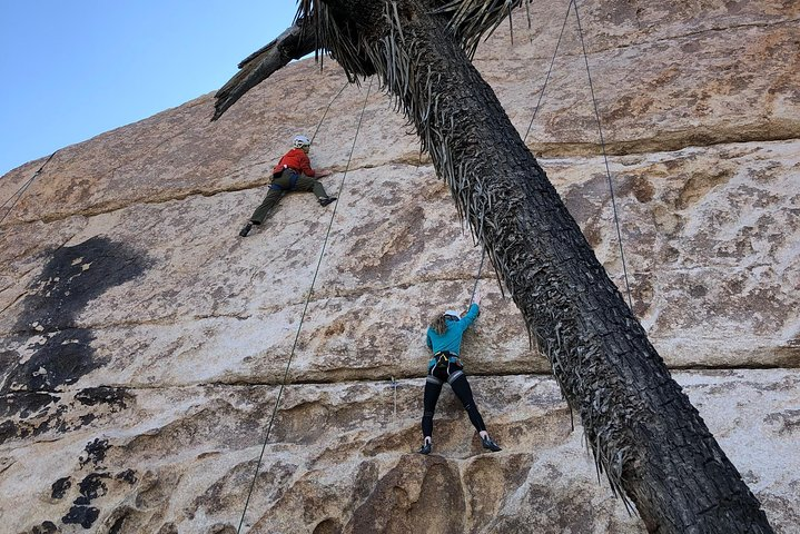 Beginner Group Rock Climbing in Joshua Tree National Park - Photo 1 of 8